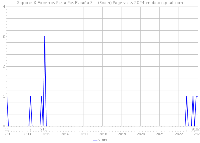 Soporte & Expertos Pas a Pas España S.L. (Spain) Page visits 2024 