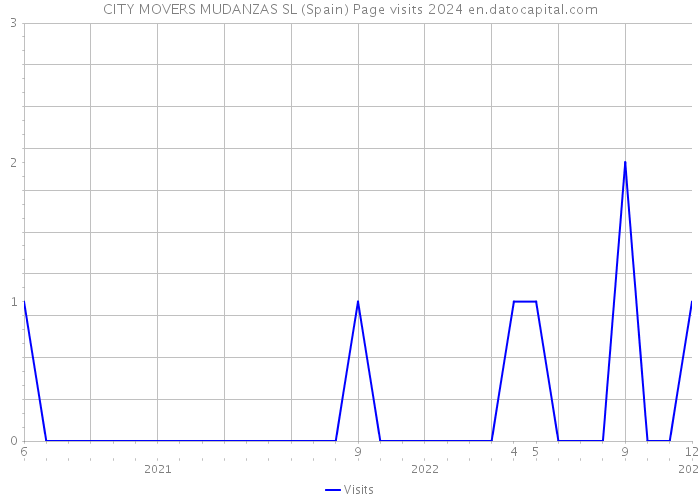 CITY MOVERS MUDANZAS SL (Spain) Page visits 2024 