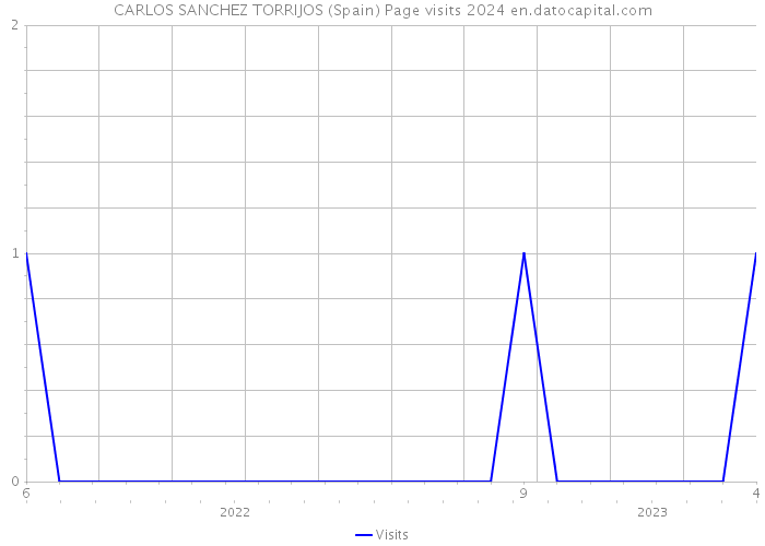 CARLOS SANCHEZ TORRIJOS (Spain) Page visits 2024 