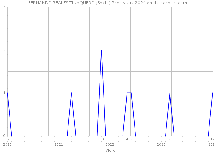 FERNANDO REALES TINAQUERO (Spain) Page visits 2024 