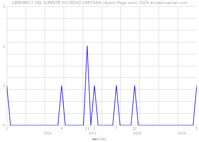 LIBIENERGY DEL SURESTE SOCIEDAD LIMITADA (Spain) Page visits 2024 