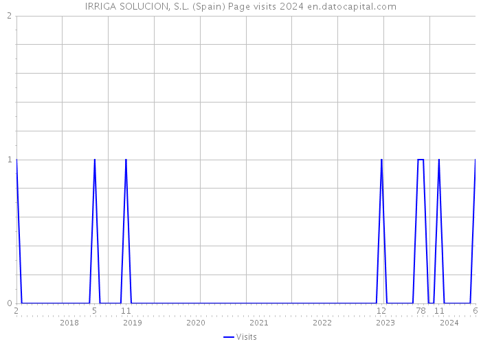 IRRIGA SOLUCION, S.L. (Spain) Page visits 2024 