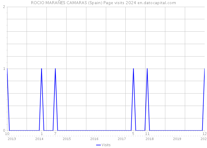 ROCIO MARAÑES CAMARAS (Spain) Page visits 2024 