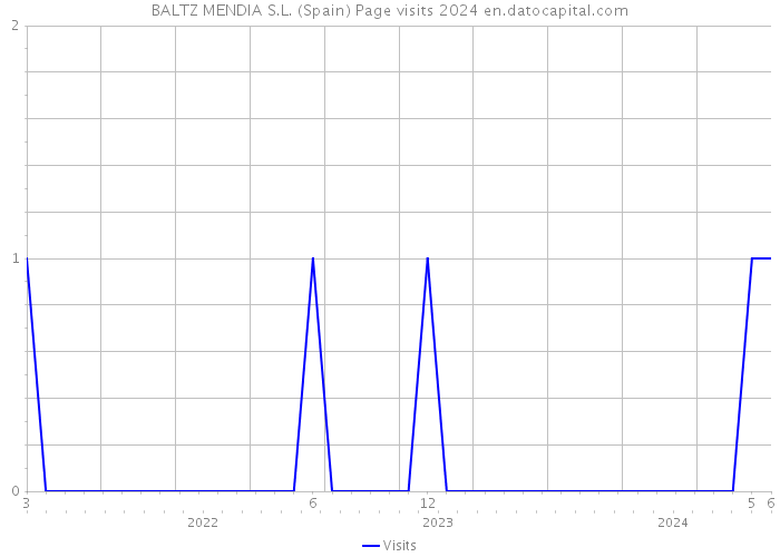 BALTZ MENDIA S.L. (Spain) Page visits 2024 