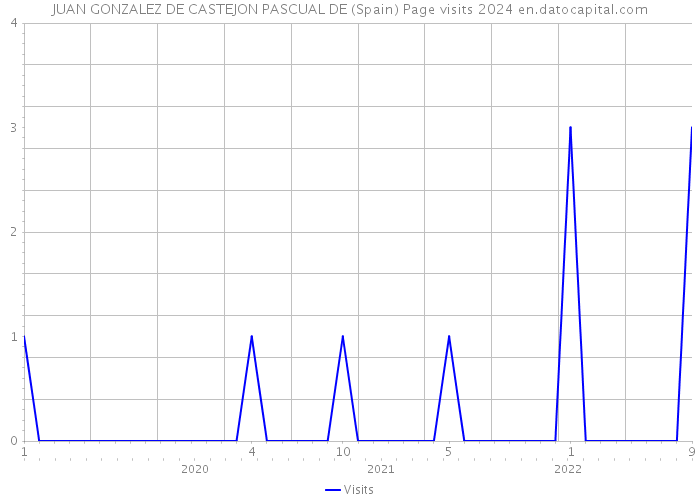 JUAN GONZALEZ DE CASTEJON PASCUAL DE (Spain) Page visits 2024 