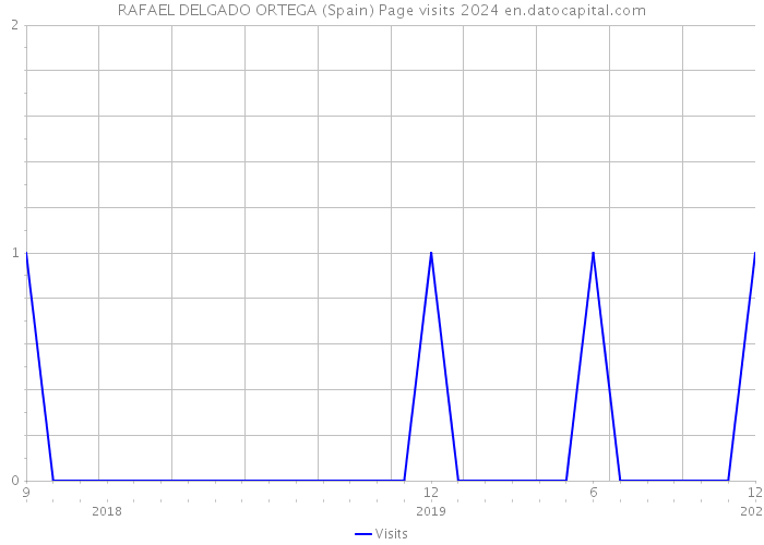 RAFAEL DELGADO ORTEGA (Spain) Page visits 2024 