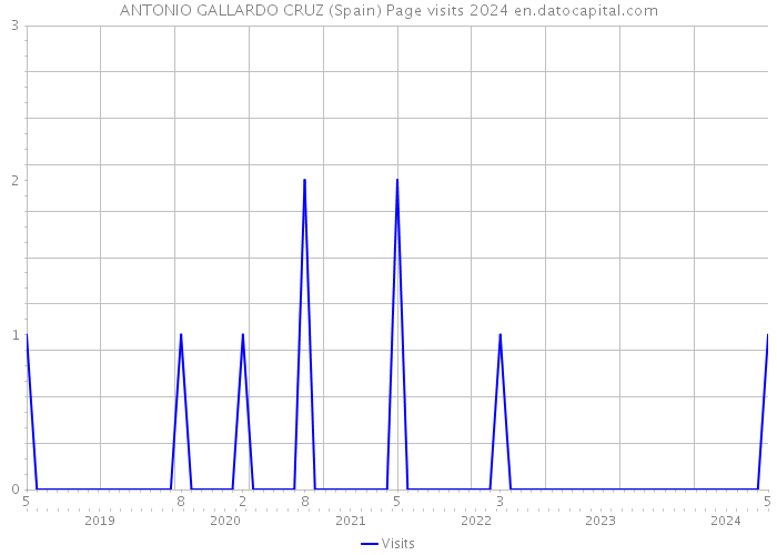 ANTONIO GALLARDO CRUZ (Spain) Page visits 2024 