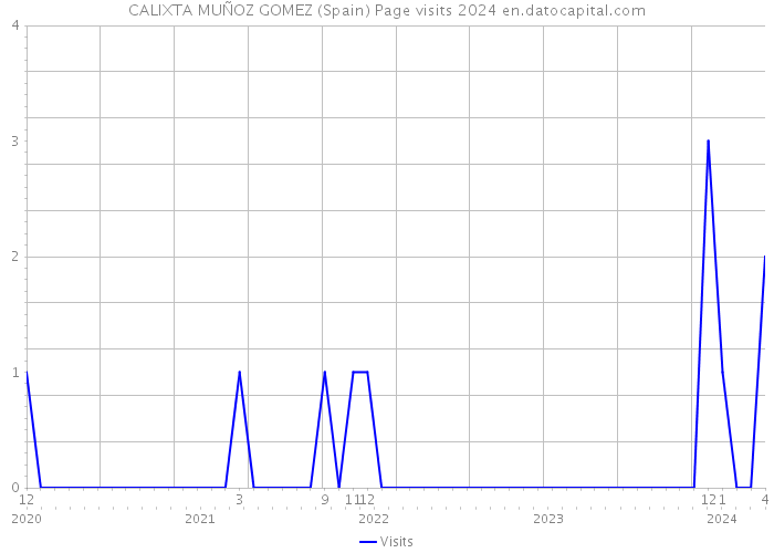 CALIXTA MUÑOZ GOMEZ (Spain) Page visits 2024 