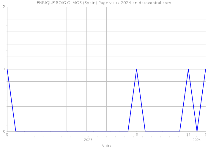 ENRIQUE ROIG OLMOS (Spain) Page visits 2024 
