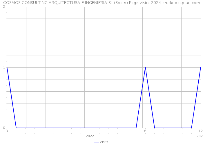 COSMOS CONSULTING ARQUITECTURA E INGENIERIA SL (Spain) Page visits 2024 