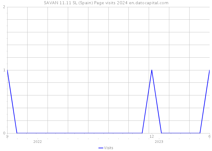 SAVAN 11.11 SL (Spain) Page visits 2024 