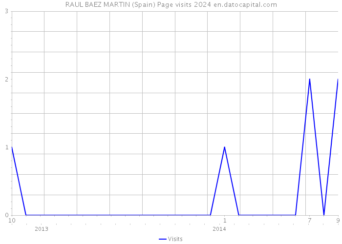 RAUL BAEZ MARTIN (Spain) Page visits 2024 