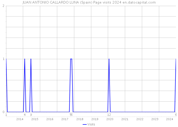 JUAN ANTONIO GALLARDO LUNA (Spain) Page visits 2024 