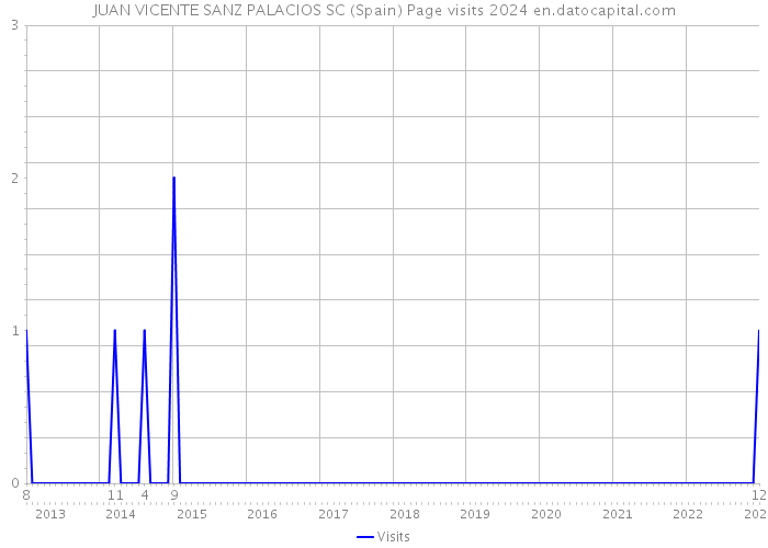 JUAN VICENTE SANZ PALACIOS SC (Spain) Page visits 2024 
