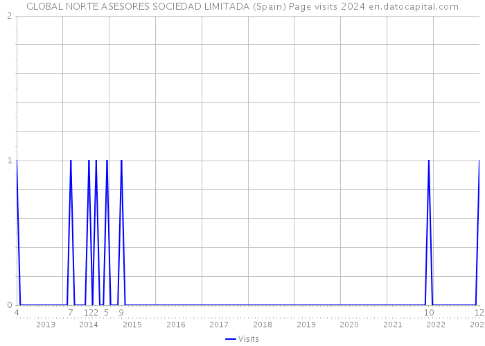 GLOBAL NORTE ASESORES SOCIEDAD LIMITADA (Spain) Page visits 2024 