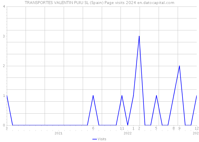 TRANSPORTES VALENTIN PUIU SL (Spain) Page visits 2024 