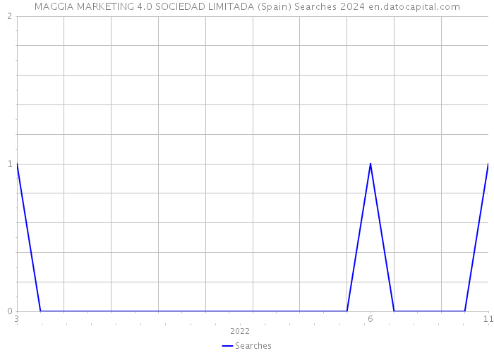 MAGGIA MARKETING 4.0 SOCIEDAD LIMITADA (Spain) Searches 2024 