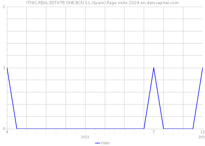 ITNIG REAL ESTATE ONE BCN S.L (Spain) Page visits 2024 