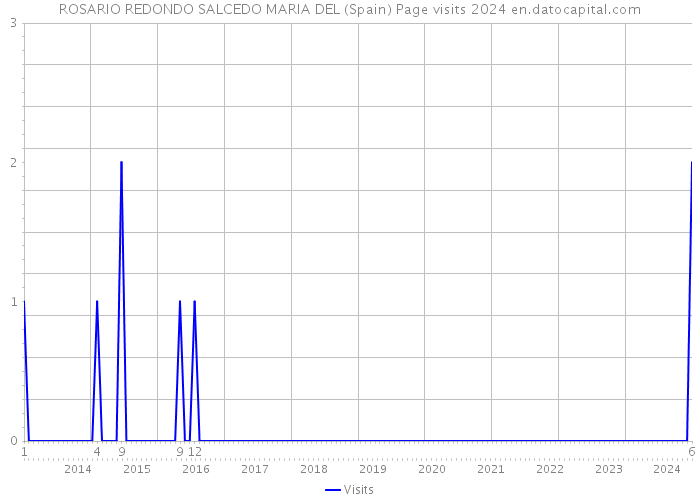 ROSARIO REDONDO SALCEDO MARIA DEL (Spain) Page visits 2024 