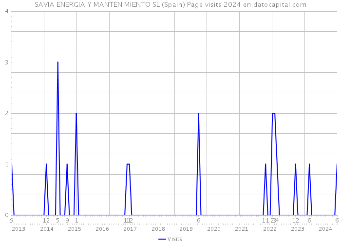 SAVIA ENERGIA Y MANTENIMIENTO SL (Spain) Page visits 2024 