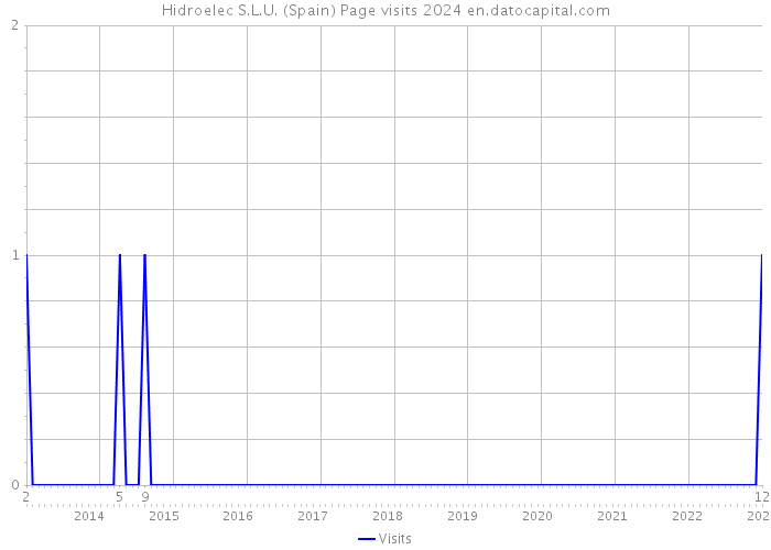 Hidroelec S.L.U. (Spain) Page visits 2024 