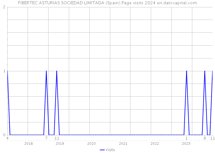 FIBERTEC ASTURIAS SOCIEDAD LIMITADA (Spain) Page visits 2024 