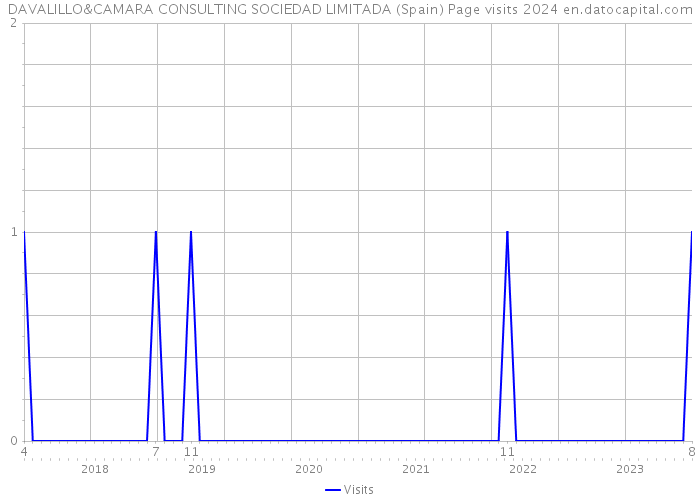 DAVALILLO&CAMARA CONSULTING SOCIEDAD LIMITADA (Spain) Page visits 2024 