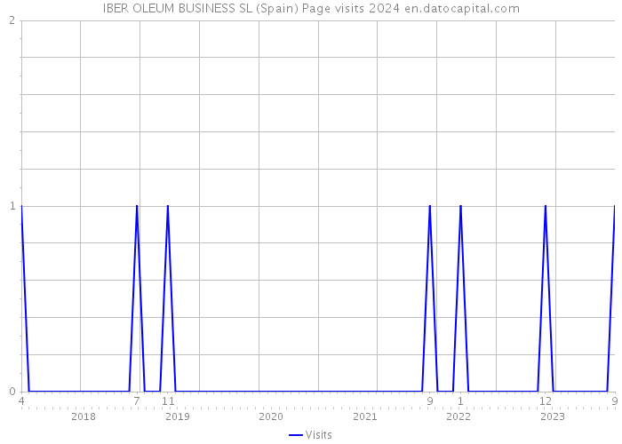 IBER OLEUM BUSINESS SL (Spain) Page visits 2024 