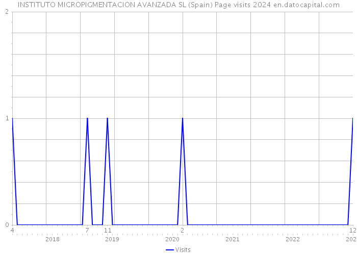 INSTITUTO MICROPIGMENTACION AVANZADA SL (Spain) Page visits 2024 