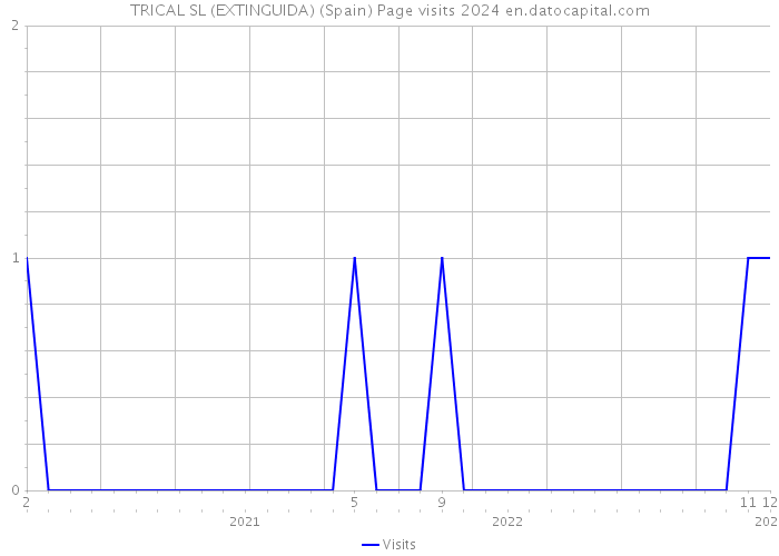 TRICAL SL (EXTINGUIDA) (Spain) Page visits 2024 