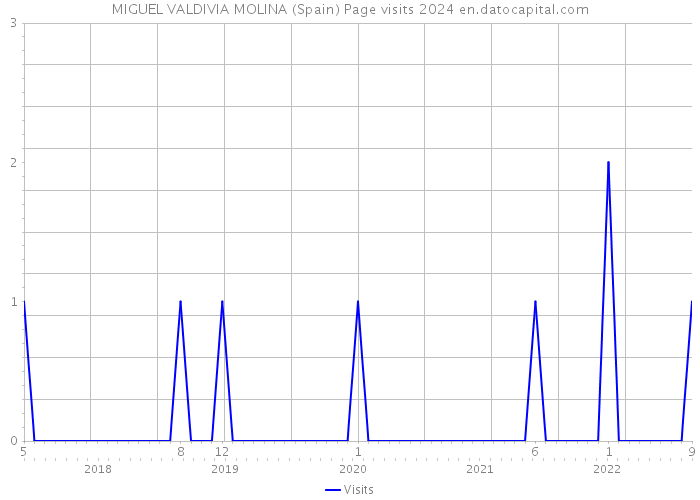 MIGUEL VALDIVIA MOLINA (Spain) Page visits 2024 