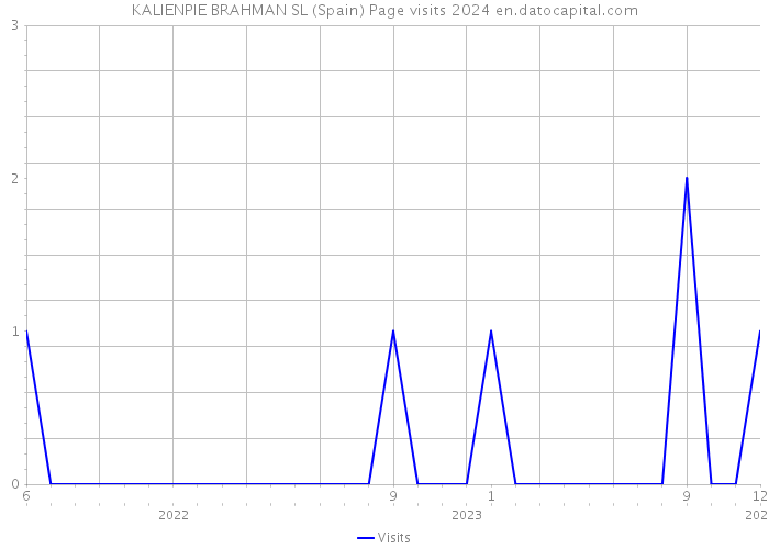 KALIENPIE BRAHMAN SL (Spain) Page visits 2024 