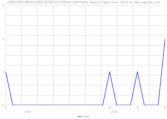 ASESORES BENAVIDES REYES SOCIEDAD LIMITADA (Spain) Page visits 2024 