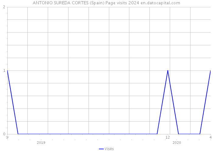 ANTONIO SUREDA CORTES (Spain) Page visits 2024 