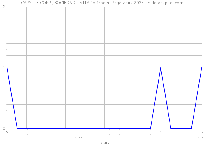 CAPSULE CORP., SOCIEDAD LIMITADA (Spain) Page visits 2024 