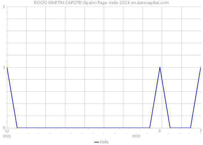 ROCIO MARTIN CAPOTE (Spain) Page visits 2024 