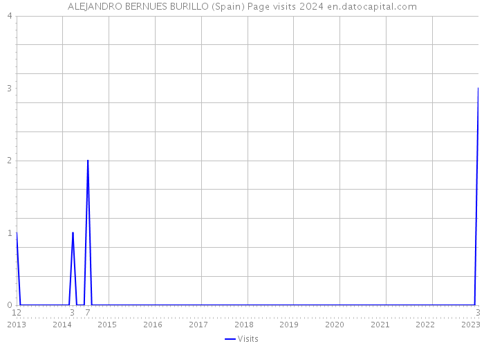 ALEJANDRO BERNUES BURILLO (Spain) Page visits 2024 