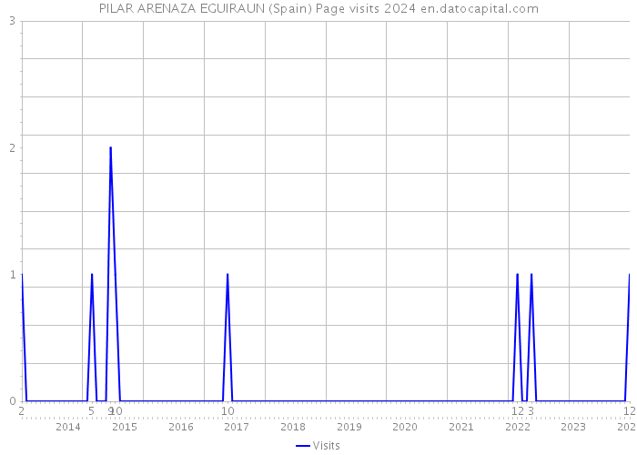 PILAR ARENAZA EGUIRAUN (Spain) Page visits 2024 