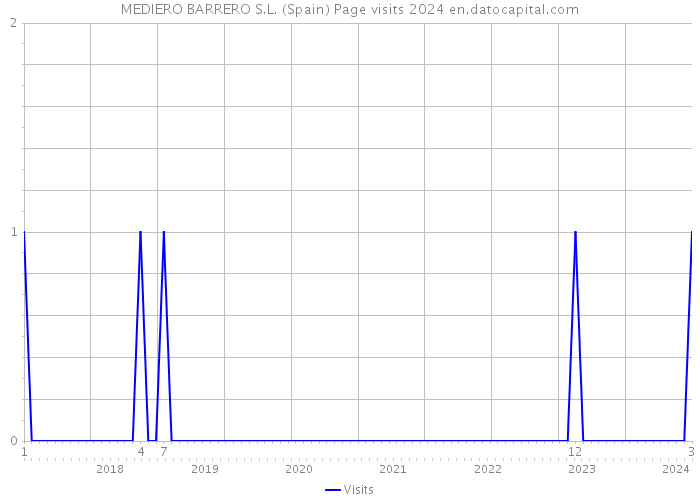MEDIERO BARRERO S.L. (Spain) Page visits 2024 