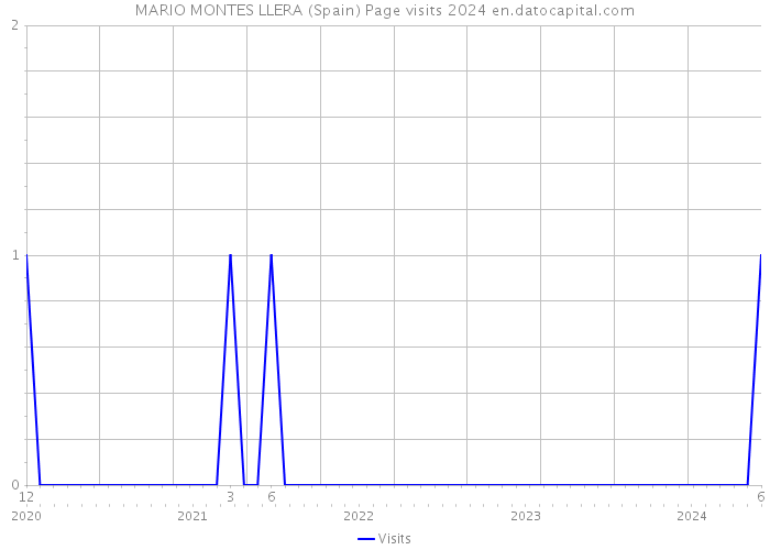 MARIO MONTES LLERA (Spain) Page visits 2024 