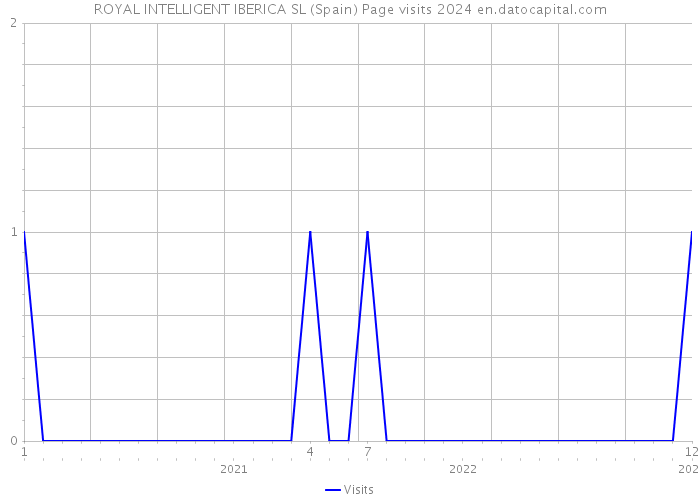 ROYAL INTELLIGENT IBERICA SL (Spain) Page visits 2024 