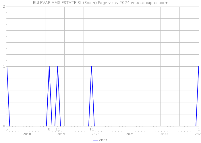 BULEVAR AMS ESTATE SL (Spain) Page visits 2024 
