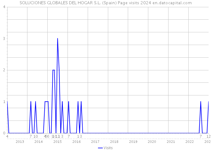 SOLUCIONES GLOBALES DEL HOGAR S.L. (Spain) Page visits 2024 