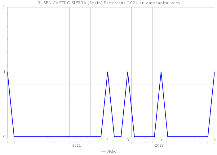 RUBEN CASTRO SIERRA (Spain) Page visits 2024 
