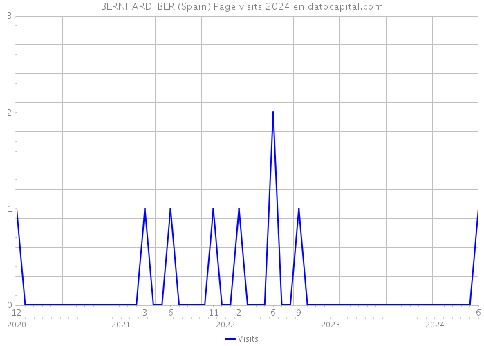 BERNHARD IBER (Spain) Page visits 2024 