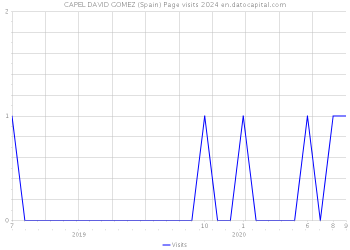 CAPEL DAVID GOMEZ (Spain) Page visits 2024 