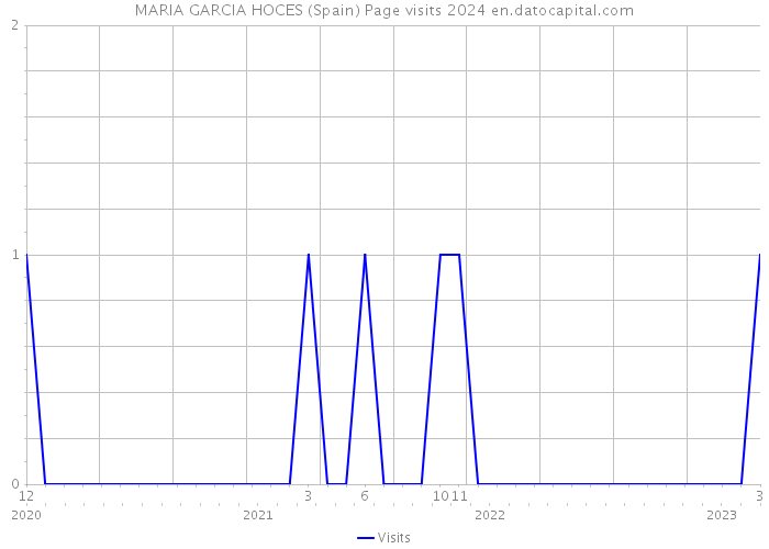 MARIA GARCIA HOCES (Spain) Page visits 2024 