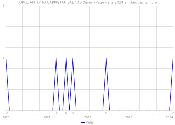 JORGE ANTONIO CAPRISTAN SALINAS (Spain) Page visits 2024 