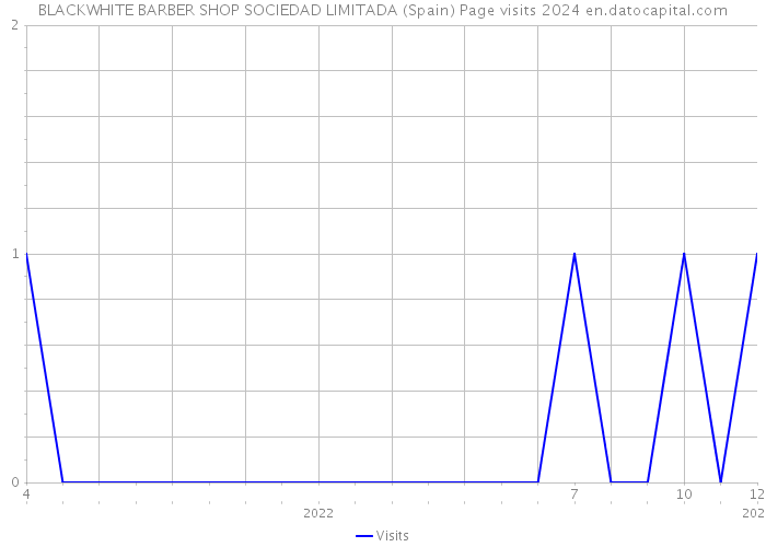 BLACKWHITE BARBER SHOP SOCIEDAD LIMITADA (Spain) Page visits 2024 