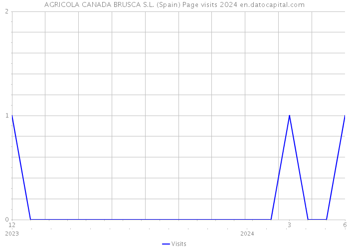 AGRICOLA CANADA BRUSCA S.L. (Spain) Page visits 2024 